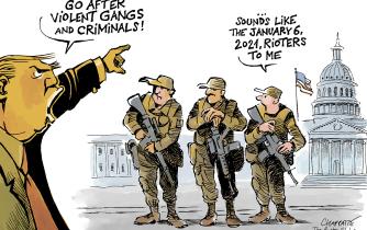 Troops deployed in DC