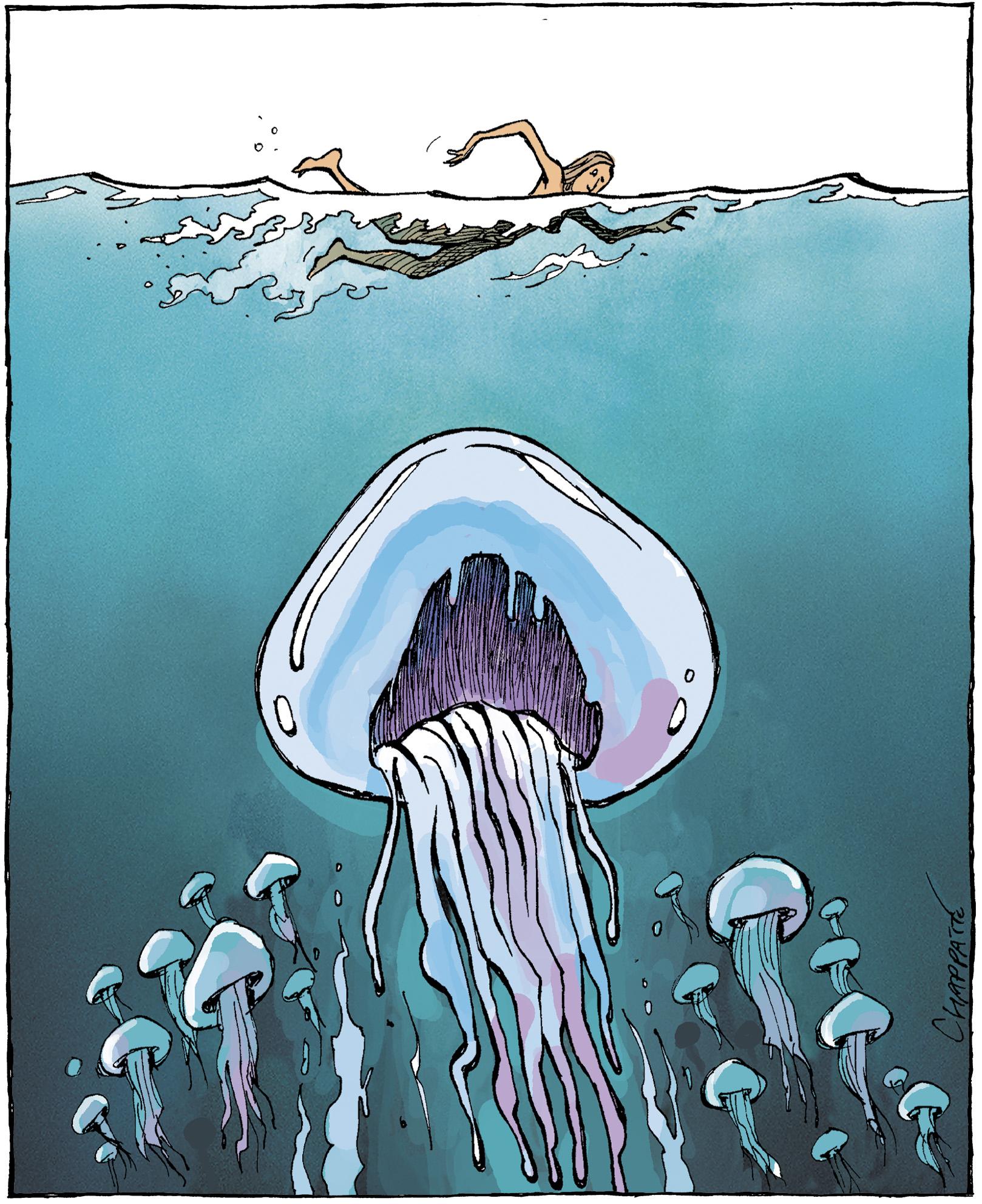 Jellyfish Swarms