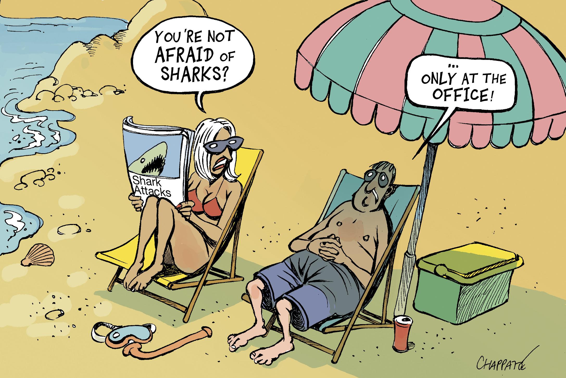 Shark Attacks On The Rise