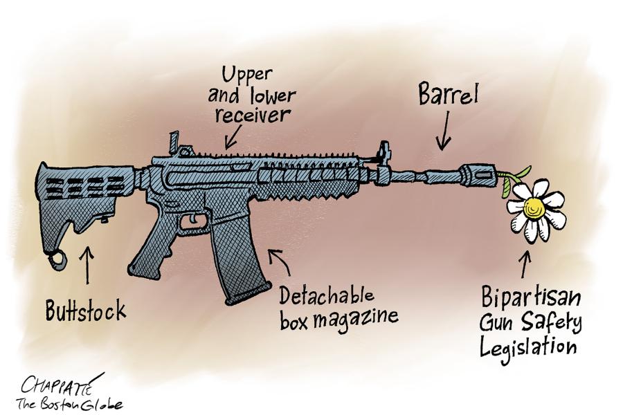 A timid gun legislation 