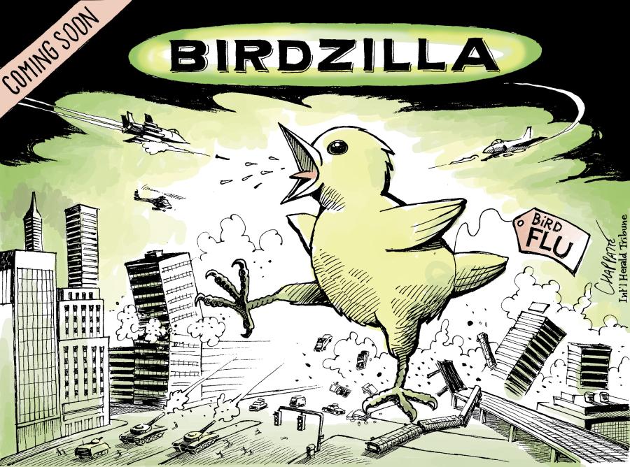Bird flu scare Bird flu scare
