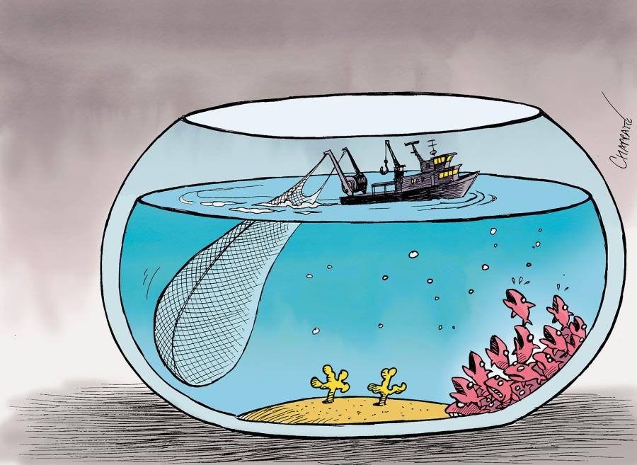 Overfishing Overfishing