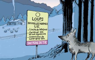 L’Europe affaiblit la protection du loup