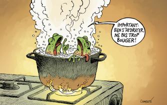 La fable de la grenouille