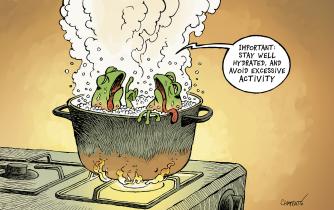 The frog metaphor