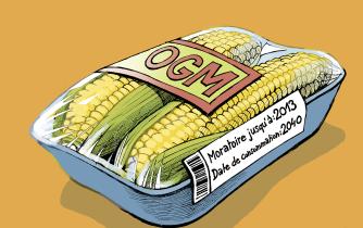 Moratoire sur les OGM