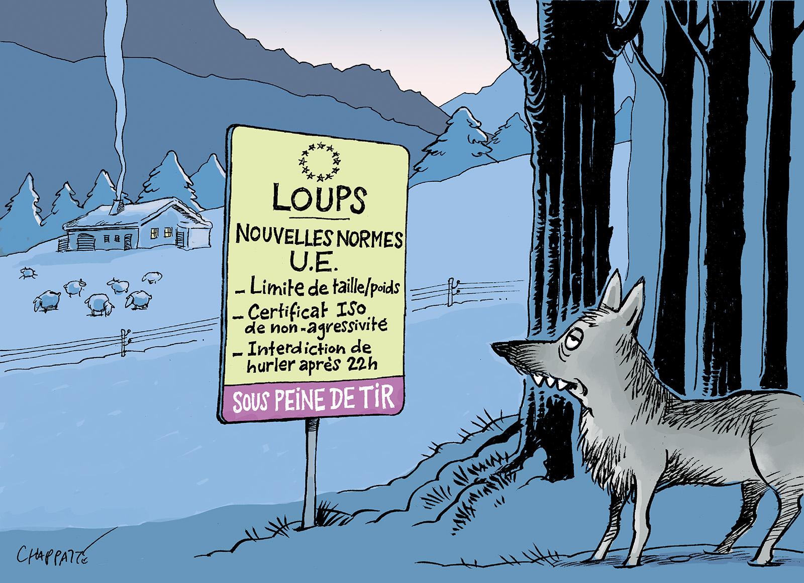 L’Europe affaiblit la protection du loup