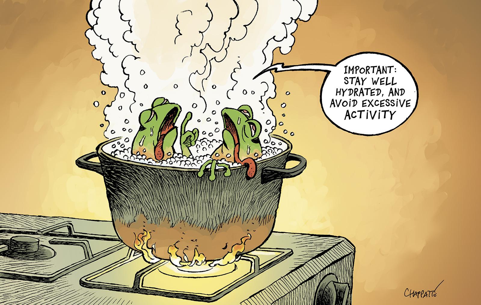 The frog metaphor