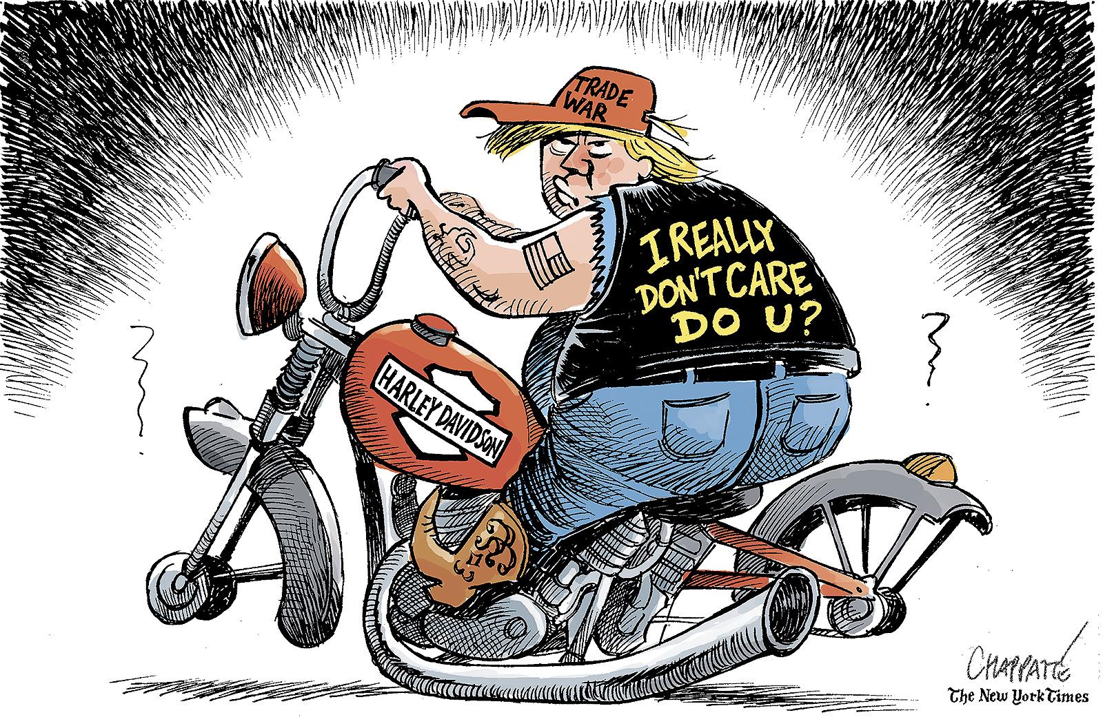 Harley Davidson in the crossfire