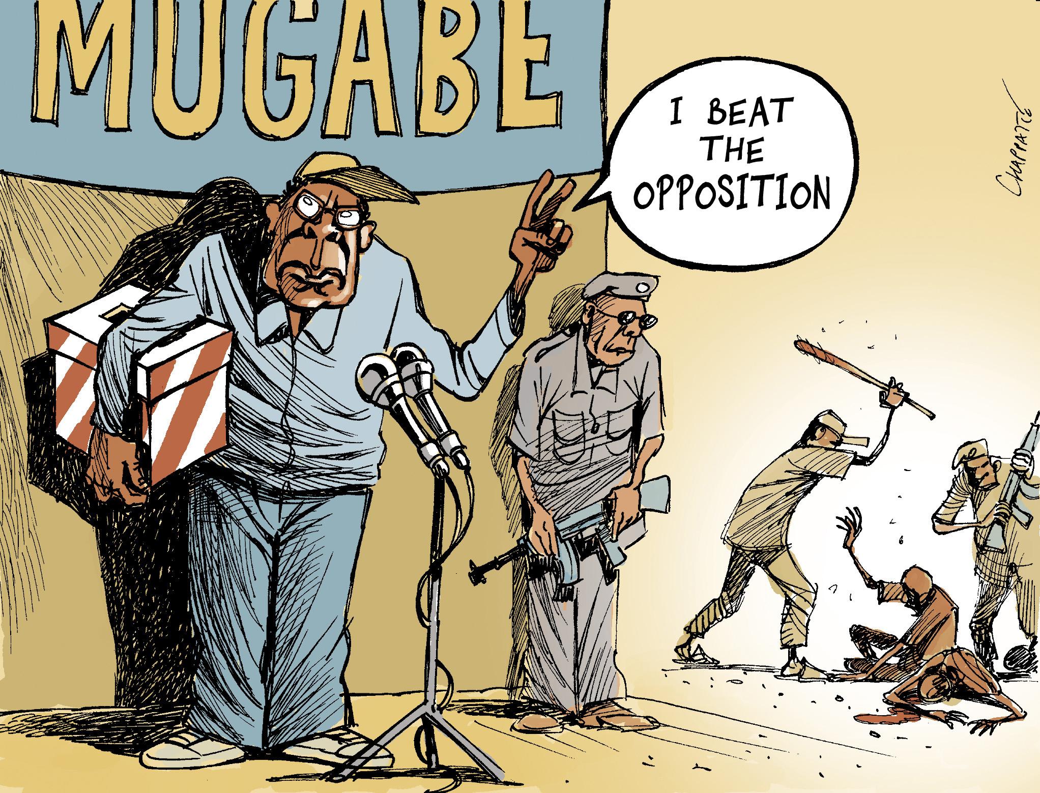 Mugabe wins