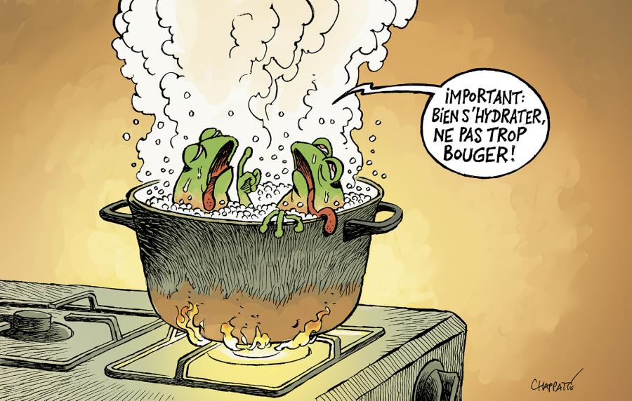 La fable de la grenouille 
