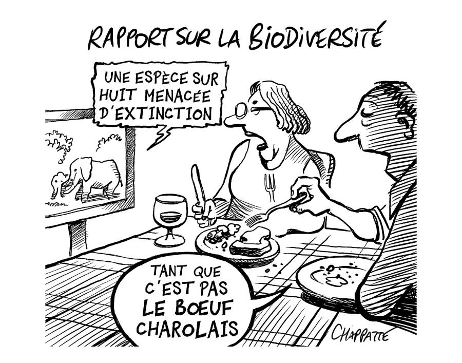 Rapport sur la biodiversité Rapport sur la biodiversité