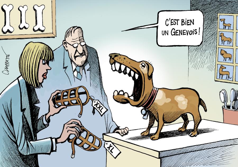 Genève: On musèle les chiens Genève: On musèle les chiens
