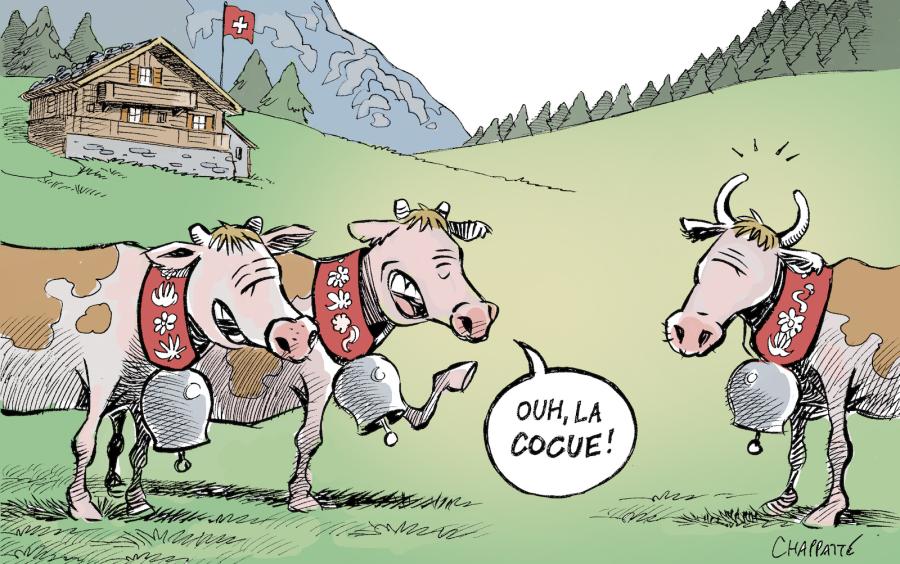 Des vaches avec ou sans cornes? Les Suisses vont voter. Des vaches avec ou sans cornes? Les Suisses vont voter.